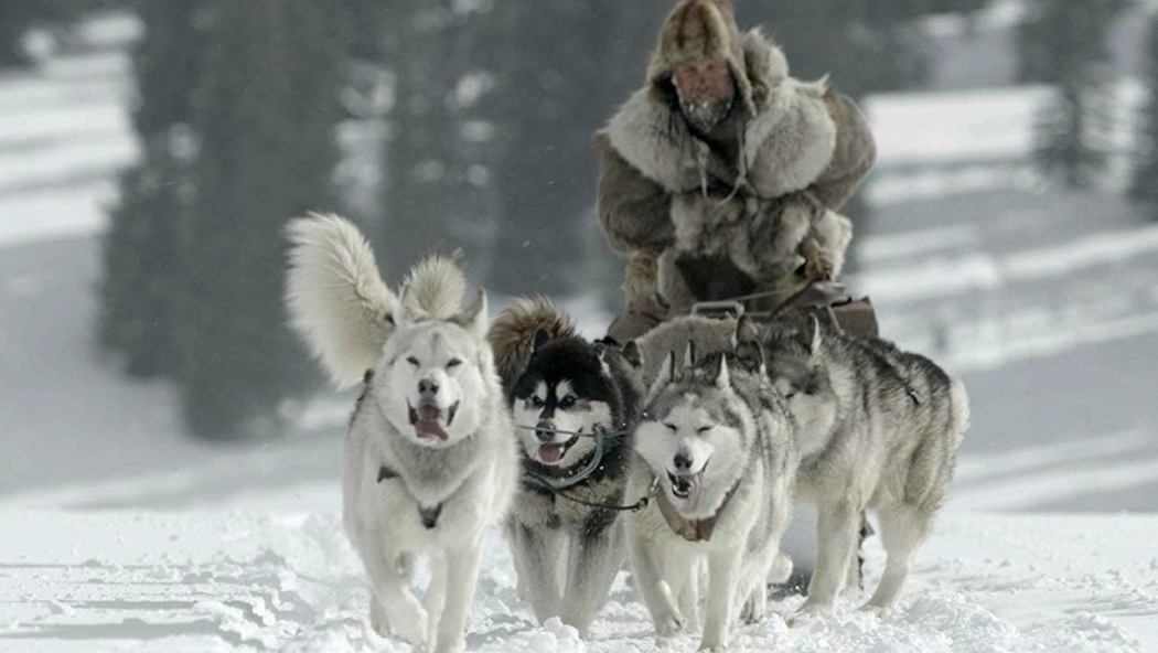 Büyük Alaska Yarışı izle